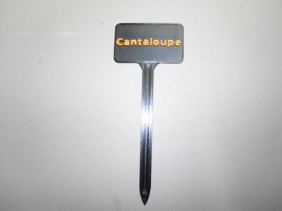 Plant Label Cantaloupe
