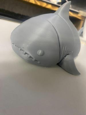 Shark Cute