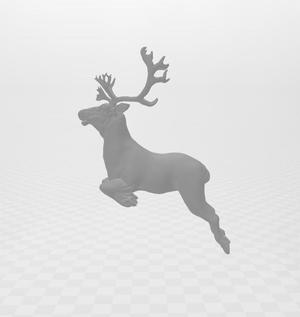 Reindeer