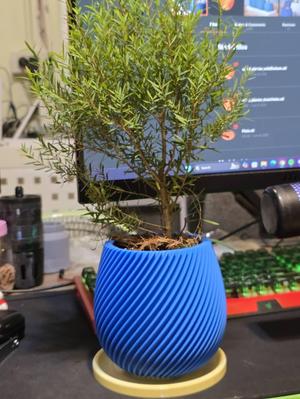 Pot base with Drip Tray