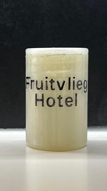Fruit Fly Trap
