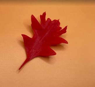 Fall Leaf
