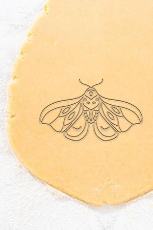 Fly Cookie Cutter, Biscuit Cutter