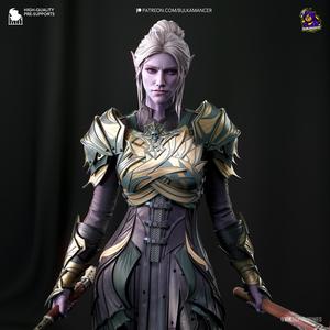 Dark Elf Paladin (240mm) + Bust (158mm)