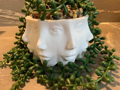 Planter Polyface