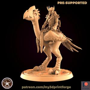 Blood Elf Chicken Rider