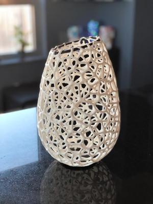 Voronoi Vase