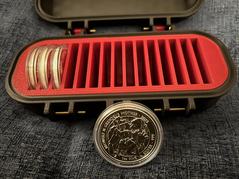 Insert for 1oz Silver Coins (x15)