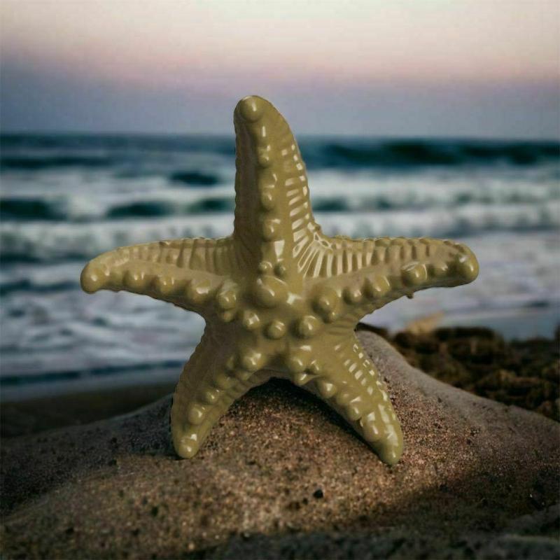 starfish