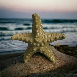 starfish