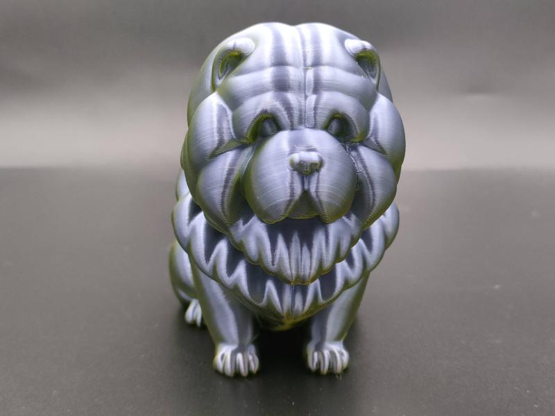 Bouncy Buddy: Chow Chow