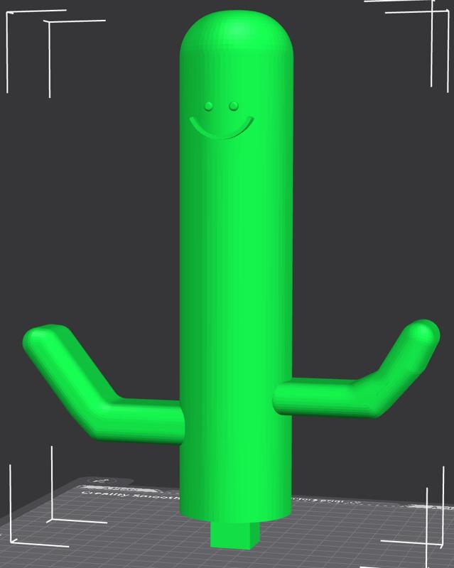 Cactus Porta Oggetti