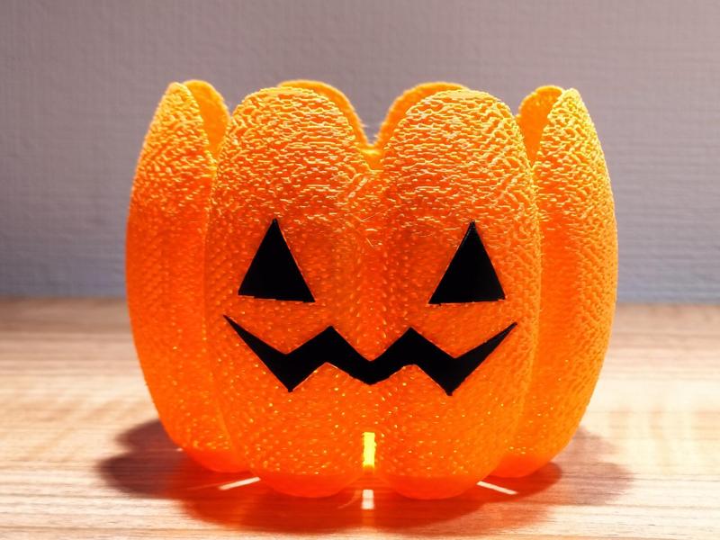 Agave plant pot / z002-90 / pumpkin halloween 