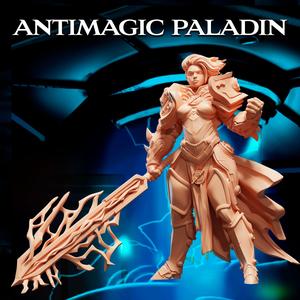 Antimagic Paladin