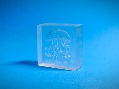 Transparent Crystal - Jellyfish