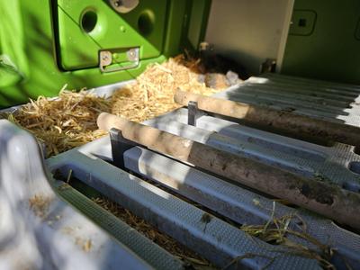 Hühnerstangenhalter für OMLET EGLU