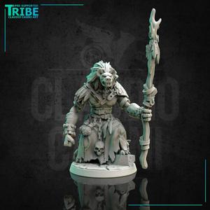 (0173) Male shaman wizard sorceror gnoll