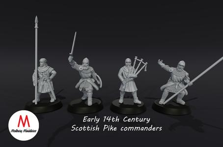 14th Century Scottish Pike Command team