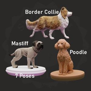 Dogs