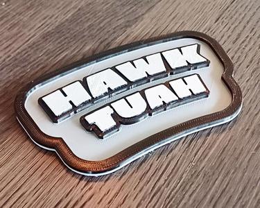 hawk tuah sign