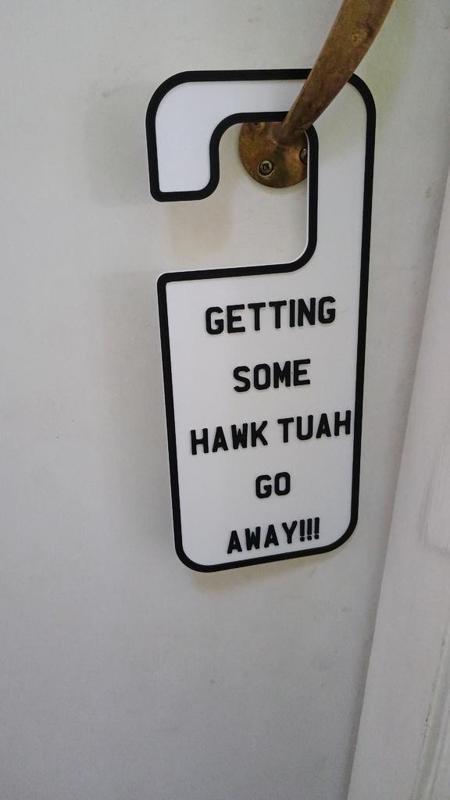 Hawk tuah door hanger