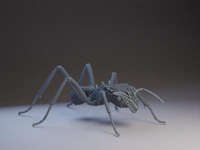 Ant