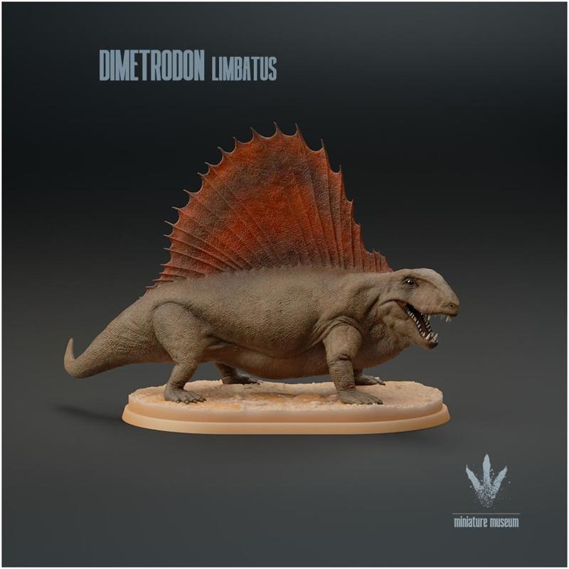 Dimetrodon limbatus : The Terror of the Permian