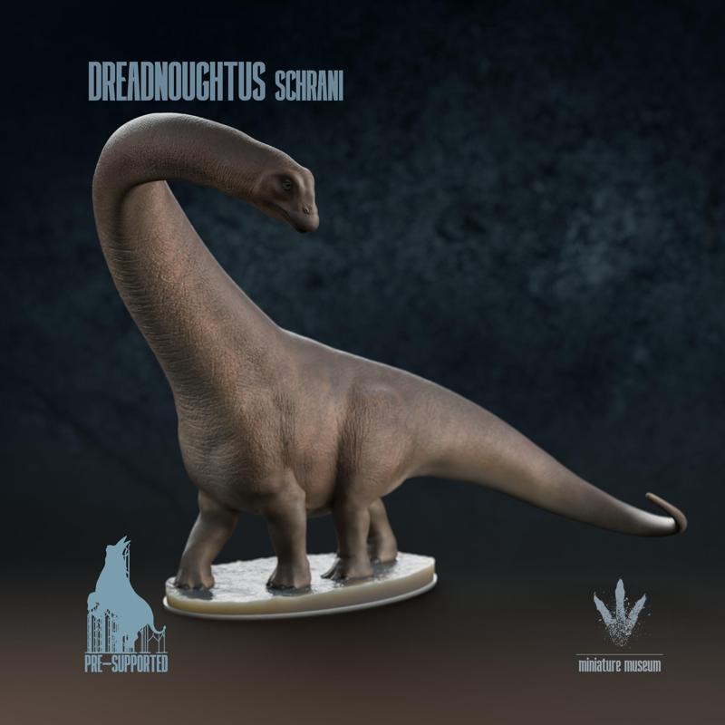 Dreadnoughtus schrani : Female