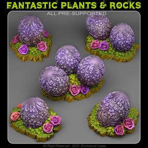 EGGS FROM WONDERLANDS