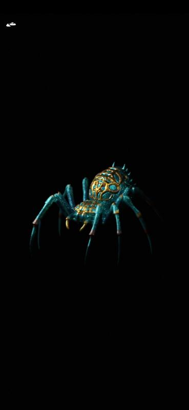 Spider