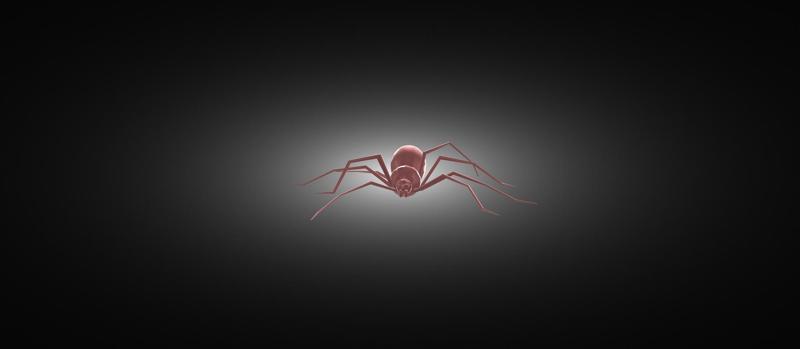 SPIDER