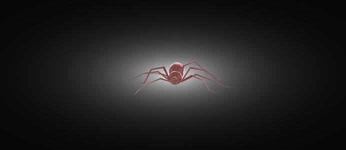 SPIDER