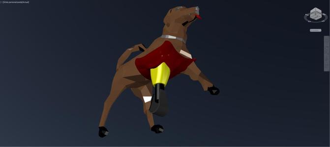 PRÓTESIS PARA PERROS 1
