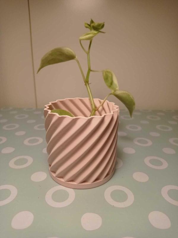 Maceta espiral/Spiral Planter