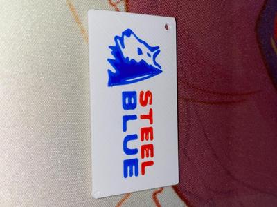 Steel Blue Logo Key Chain