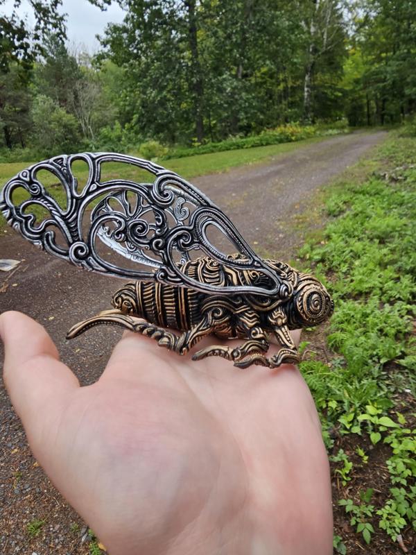 Cicada