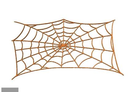 Spider Web