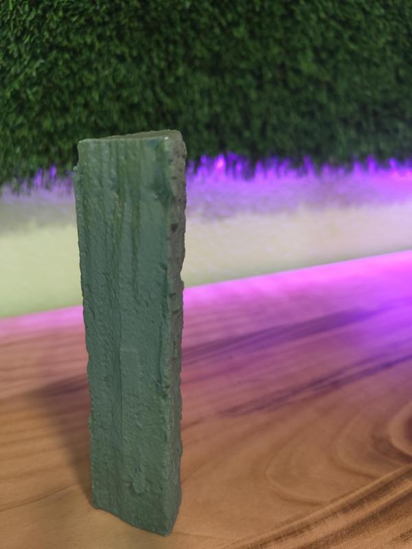3D scanned log