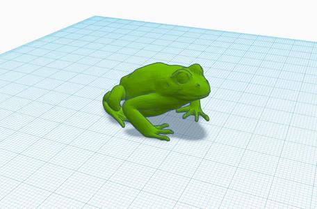 Frog