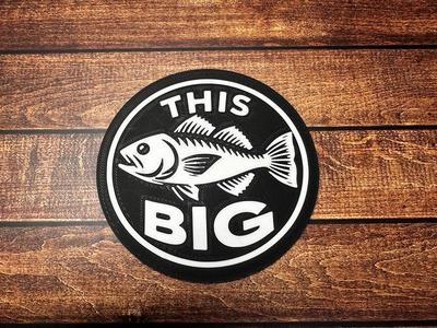 The Big Fish Coaster