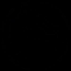 Mortal Kombat Logo