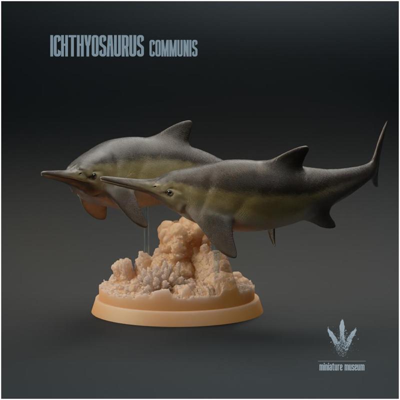 Ichthyosaurus communis : Swimming