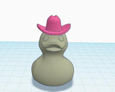 Rubber duck with cowboy hat
