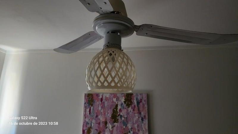Tulip for ceiling fan