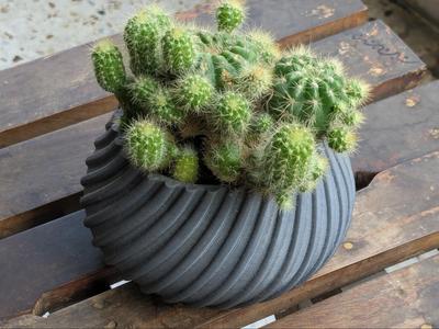 Spiral Cactus Pot - 3D Printed Minimalist Design