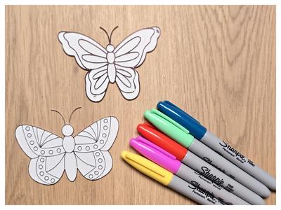 Cute Butterfly DIY Coloring 5