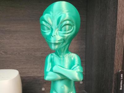 Alien ( I DON'T CARE LOOK)
