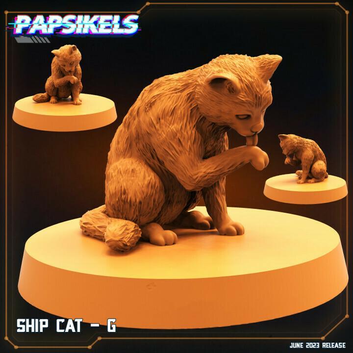 SHIP CAT - G