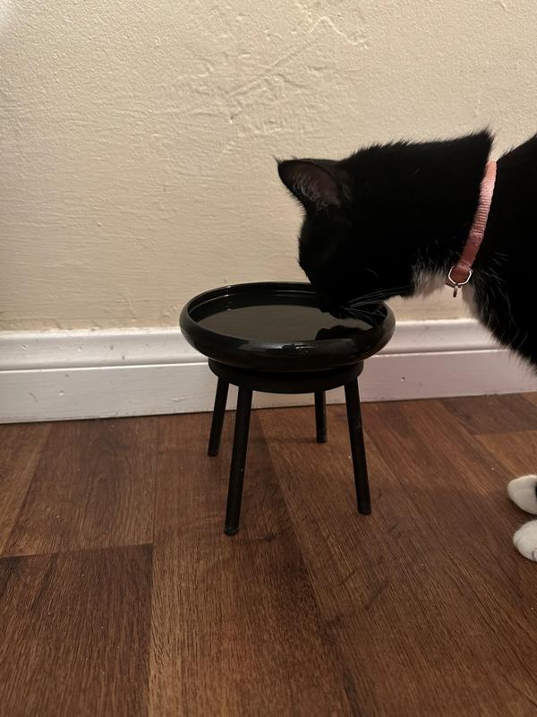 Cat Bowl Tables