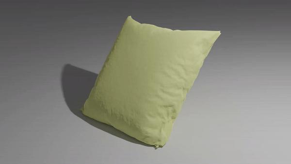 Cushion